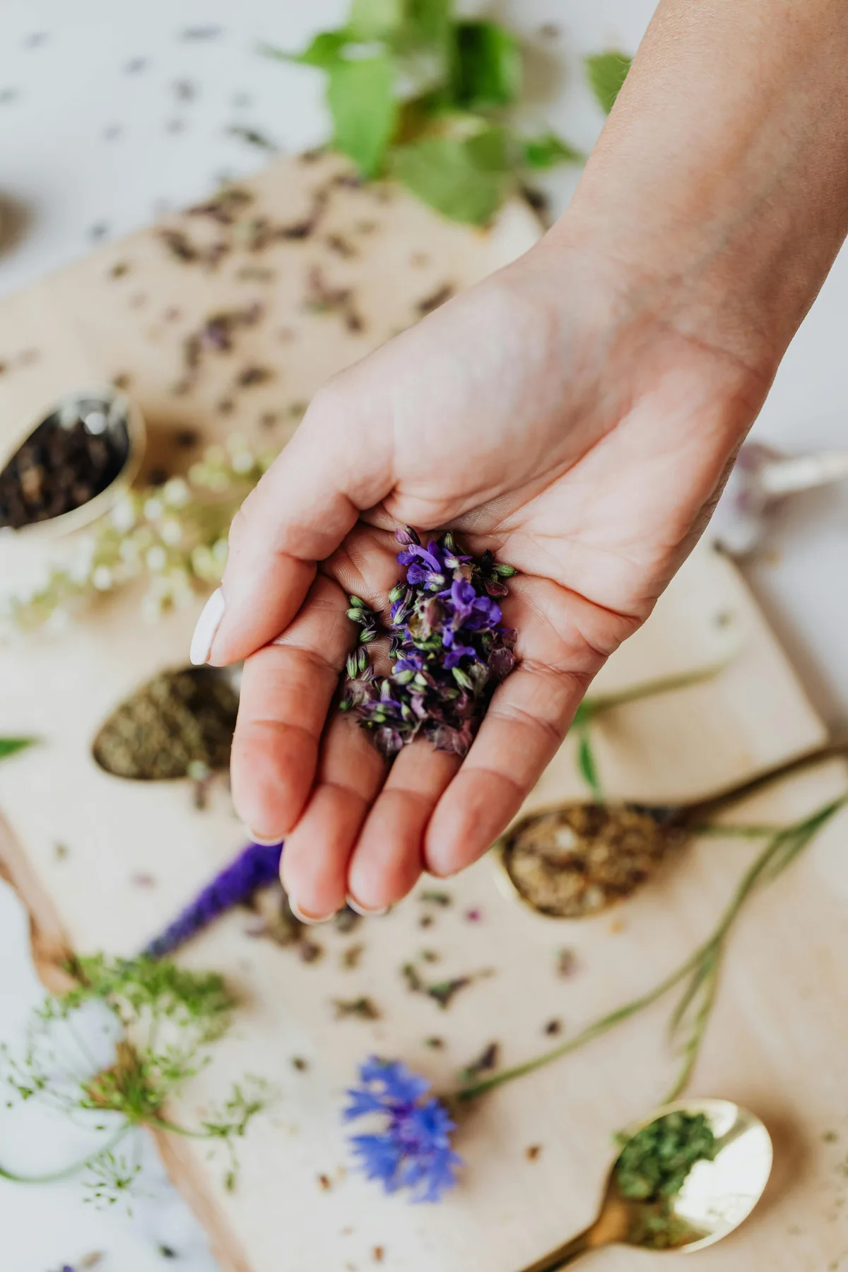 Flores de Bach para la procrastinación y la falta de motivación