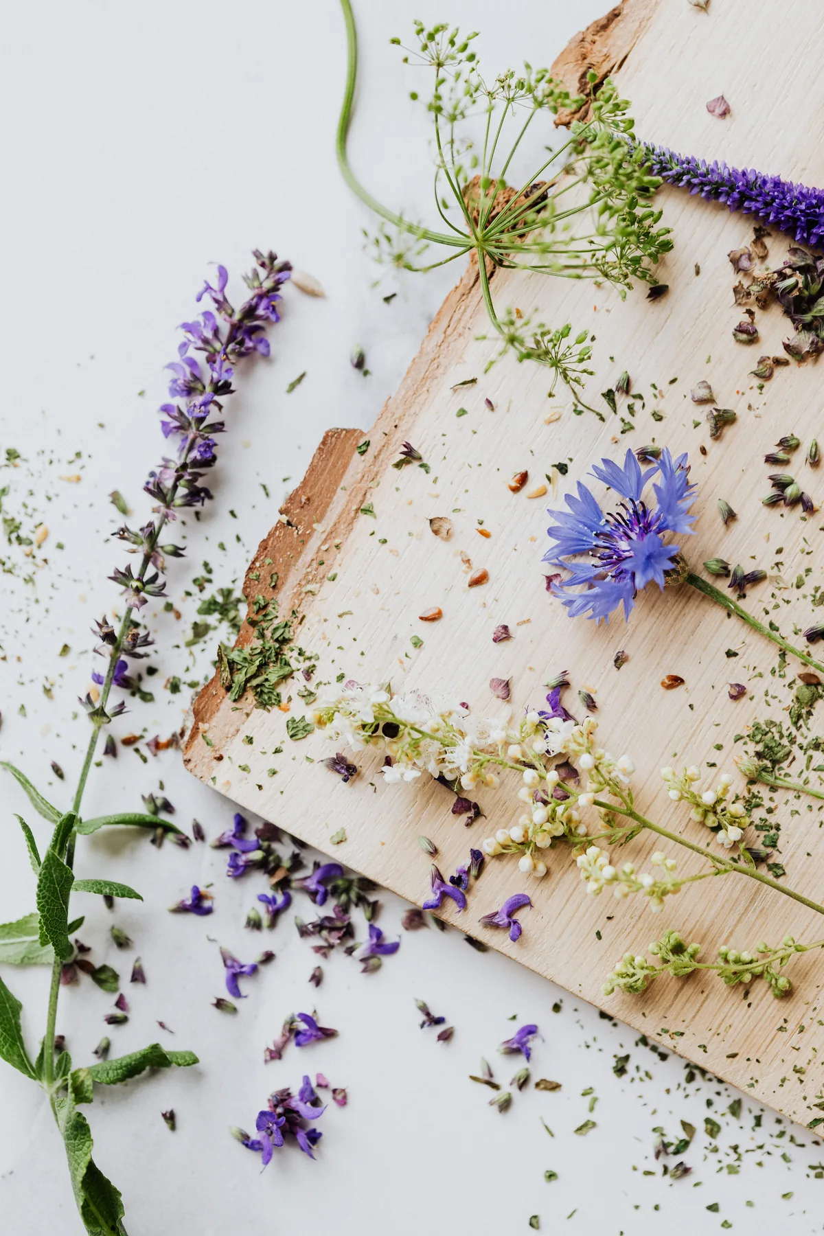 Flores de Bach para el miedo al fracaso y el perfeccionismo paralizante